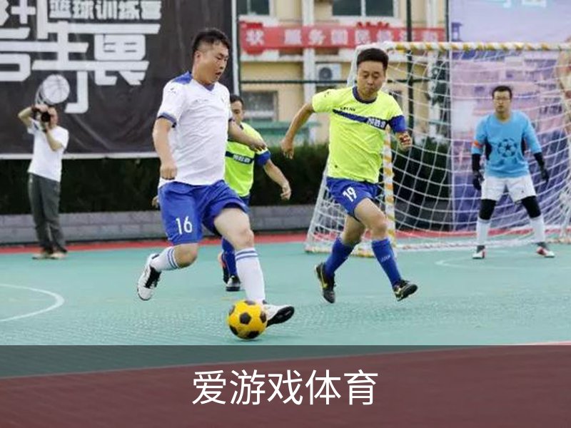 爱游戏体育概况